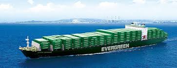 Evergreen_Nave